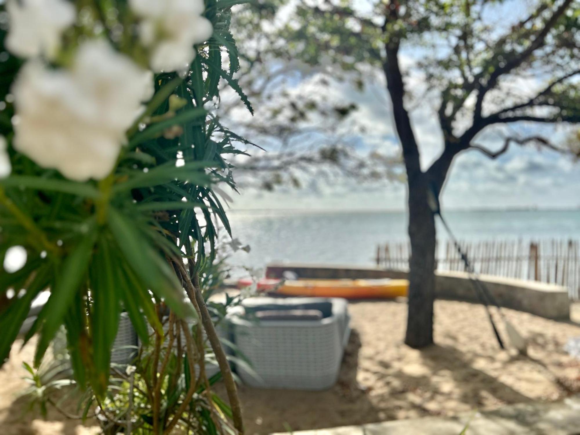 Arasi Resort Kalpitiya Ngoại thất bức ảnh