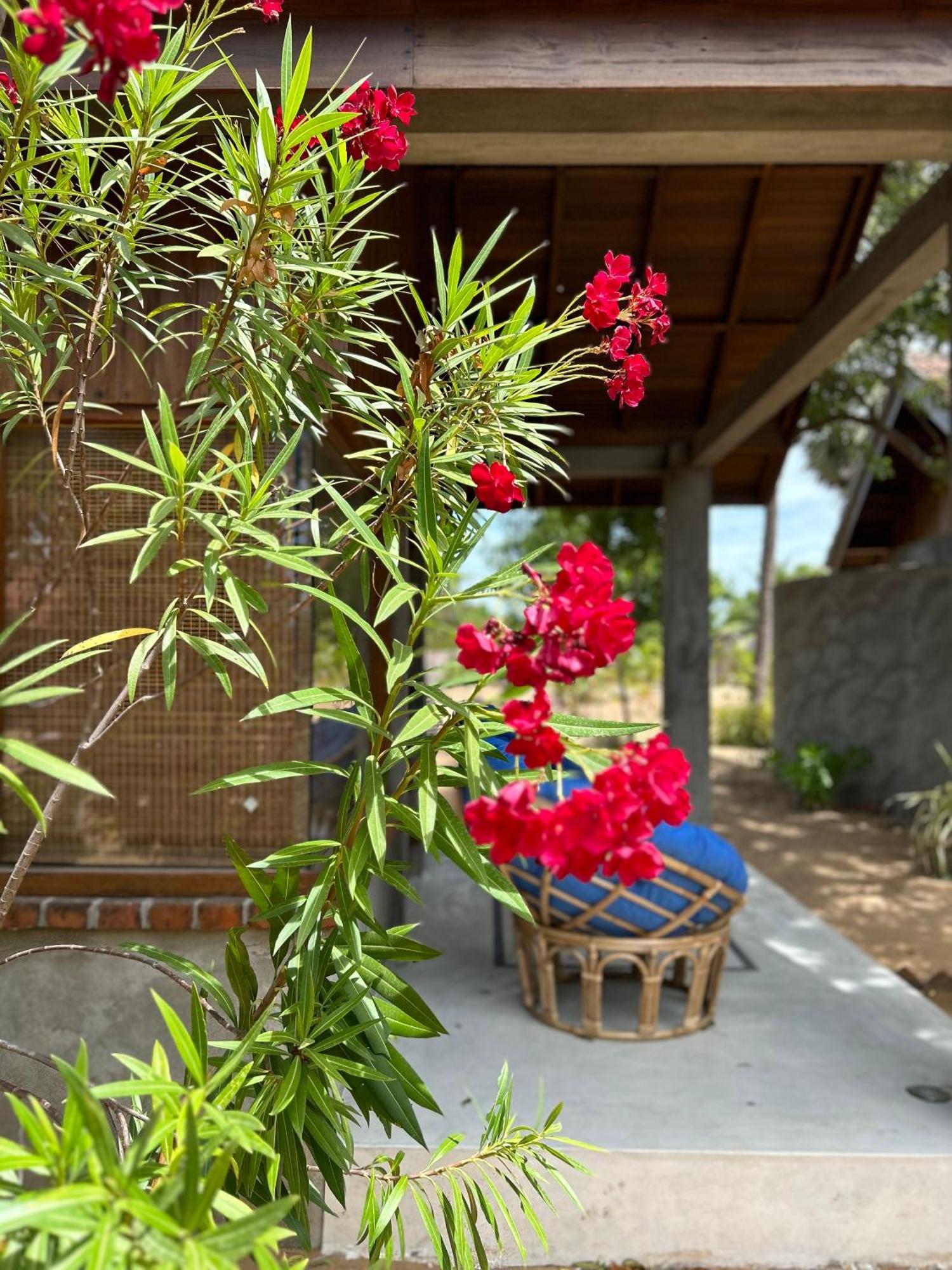 Arasi Resort Kalpitiya Ngoại thất bức ảnh